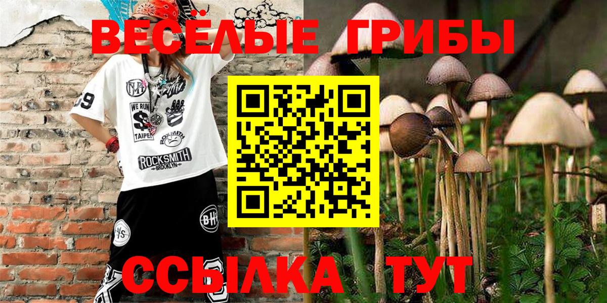 Галлюциногенные грибы Psilocybine cubensis Алексеевка